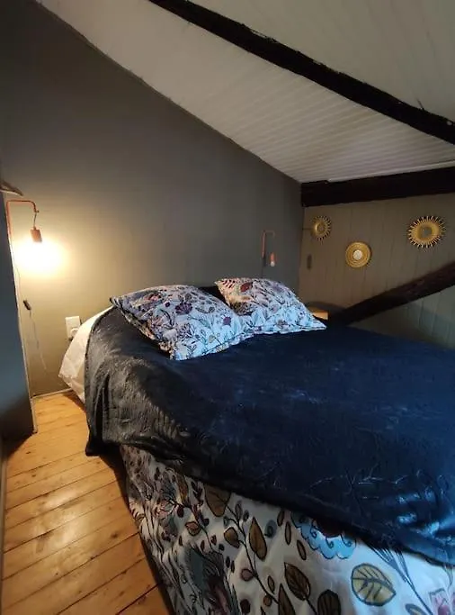 Chez Aristide, appartement cosy hypercentre Montauban