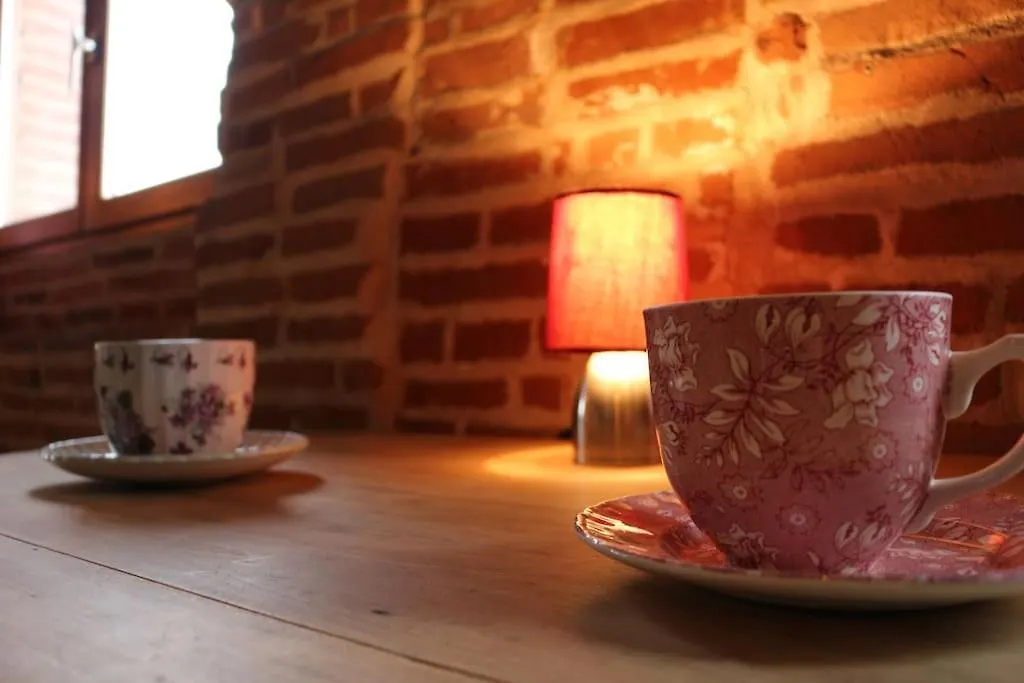 Chez Aristide, appartement cosy hypercentre Montauban France